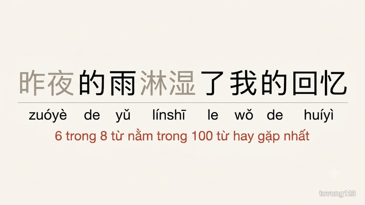 Một câu tám từ tiếng Trung, sáu từ in đậm vì nằm trong 100 từ hay gặp nhất, hai từ còn lại in mờ
